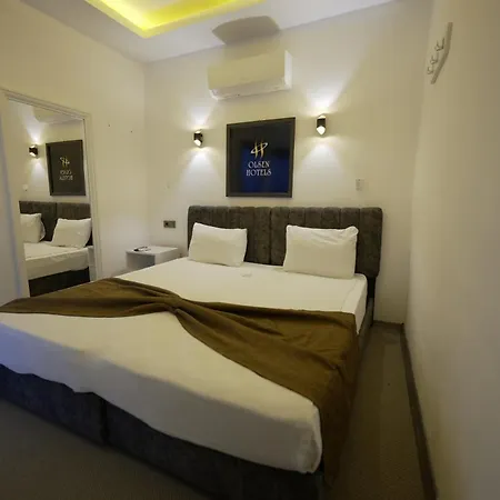 Olsen Hotel *